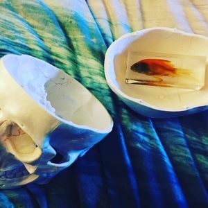 Meet your Posher, Dana